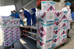 维达国际女性护理品牌Li