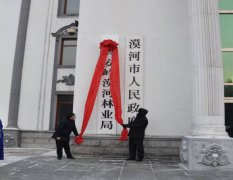 漠河最北林业局:“矩阵