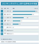 11月50万以上豪华纯电动