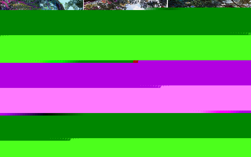 天然钻石协会携手杰出华